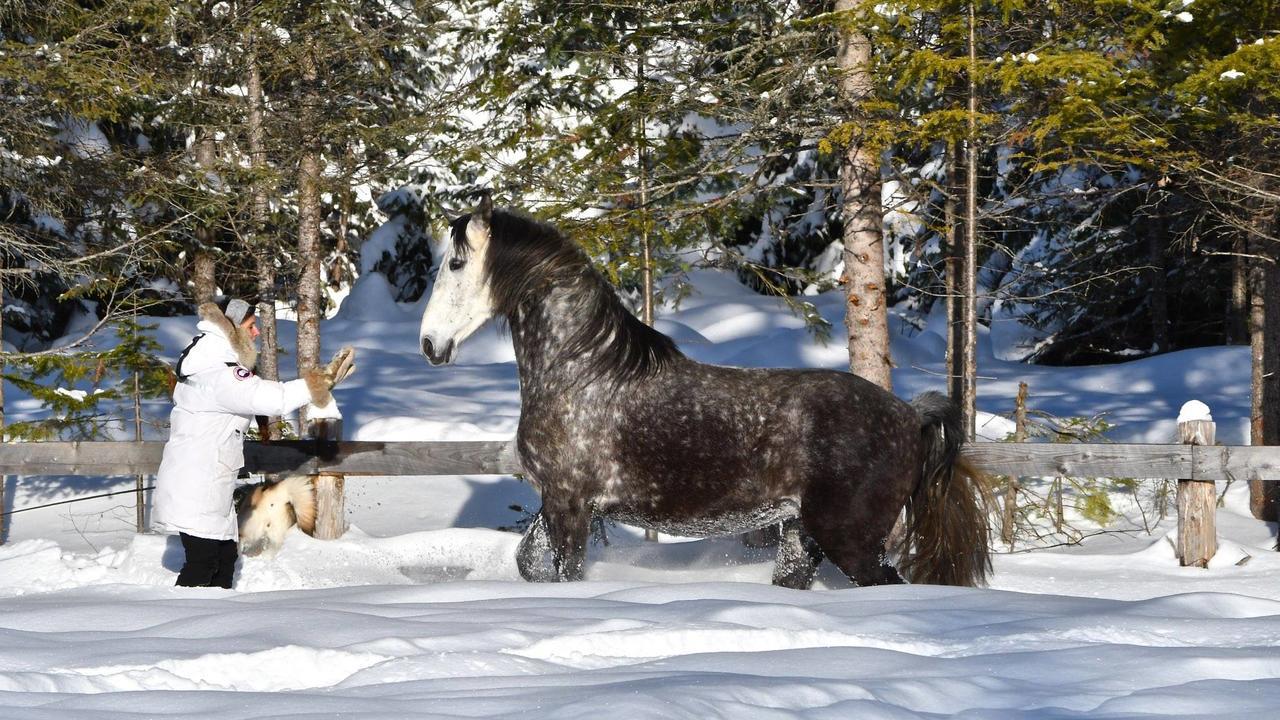 Vila Le Ti Moose La Malbaie Exteriér fotografie