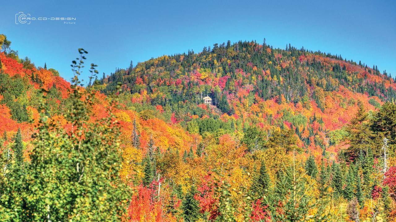 Vila Le Ti Moose La Malbaie Exteriér fotografie