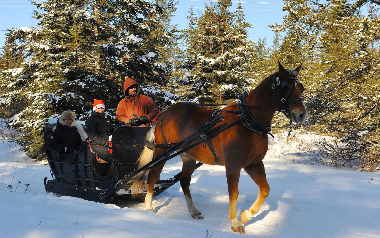 Vila Le Ti Moose La Malbaie Exteriér fotografie