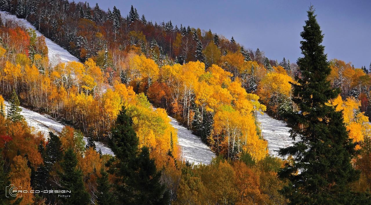 Vila Le Ti Moose La Malbaie Exteriér fotografie